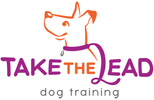 Take The Lead - Dog Training & Obedience Classes in Fort Lauderdale